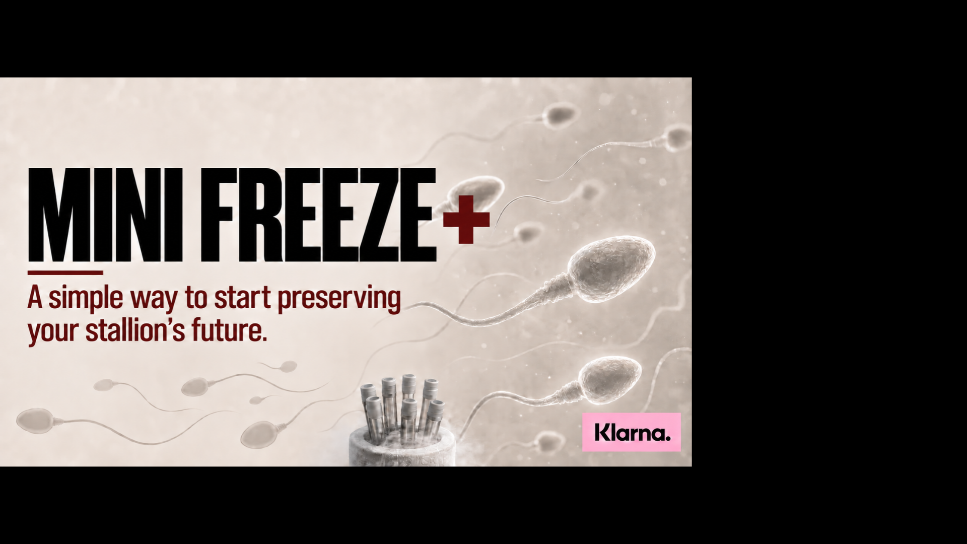 Mini Freeze PLUS